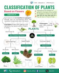 Plants